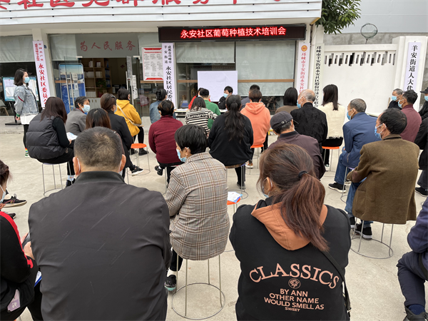 邛崃市羊安街道永安社区：打造产业发展服务型示范社区“加速跑” 中国网